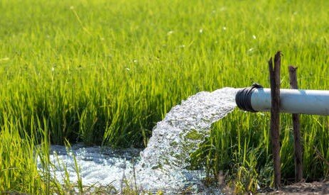 امکان تامین برق کشاورزی از تابلوی برق سبز بورس انرژی فراهم شد