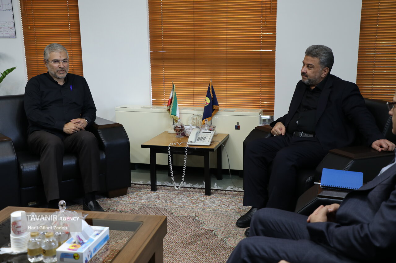 دیدار نمایندگان مجلس با مدیرعامل شرکت توانیر