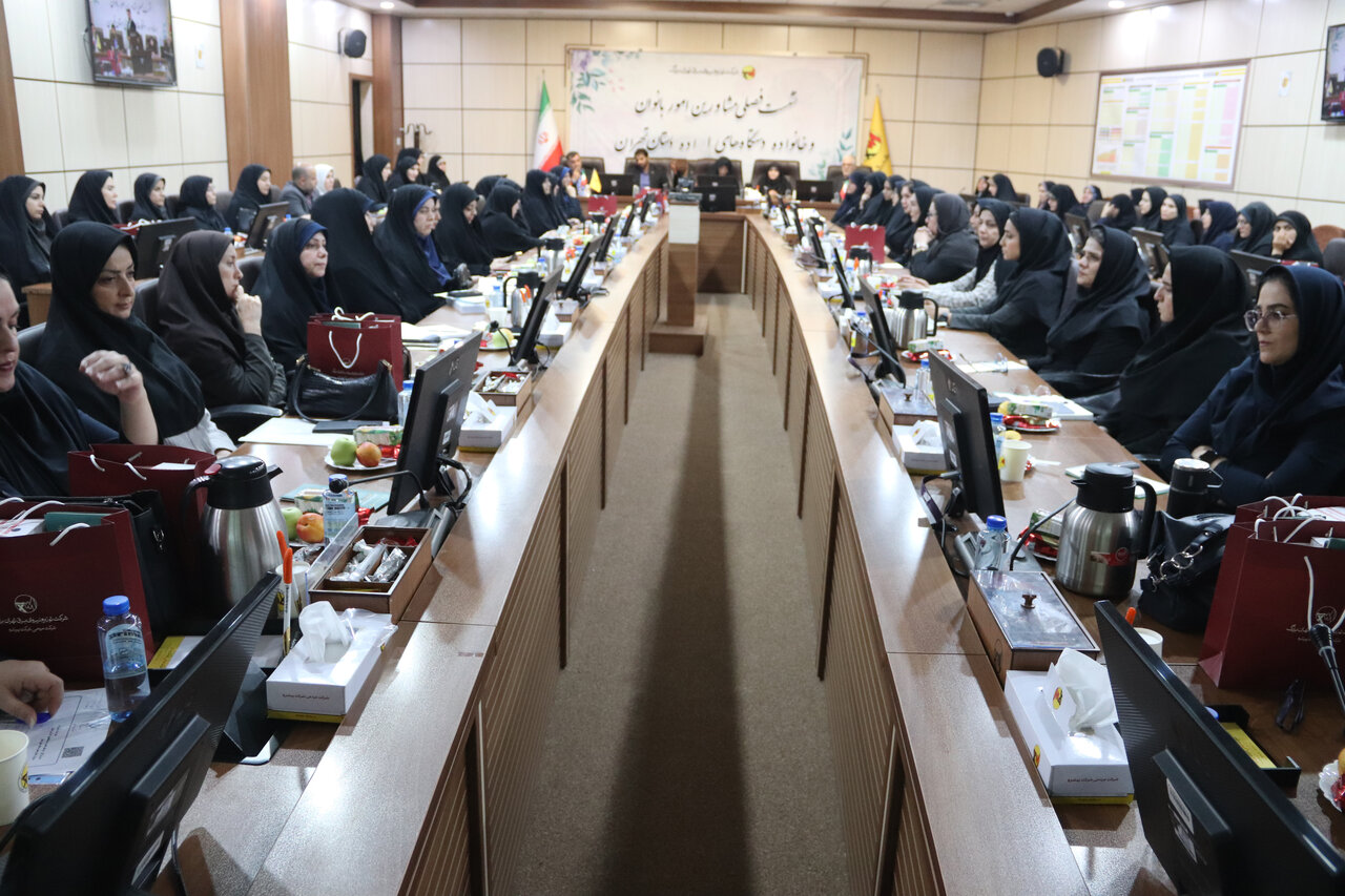 نشست بانوان برق پایتخت با دستگاههای اجرایی استان تهران نشست بانوان برق پایتخت با دستگاههای اجرایی استان تهران