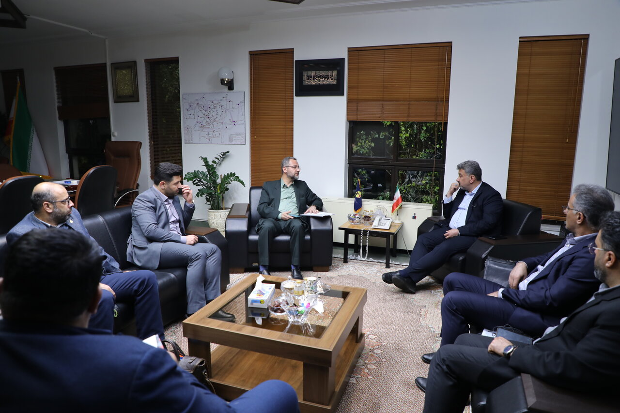 نشست جداگانه مدیرعامل توانیر با ۱۰ نماینده مجلس شورای اسلامی