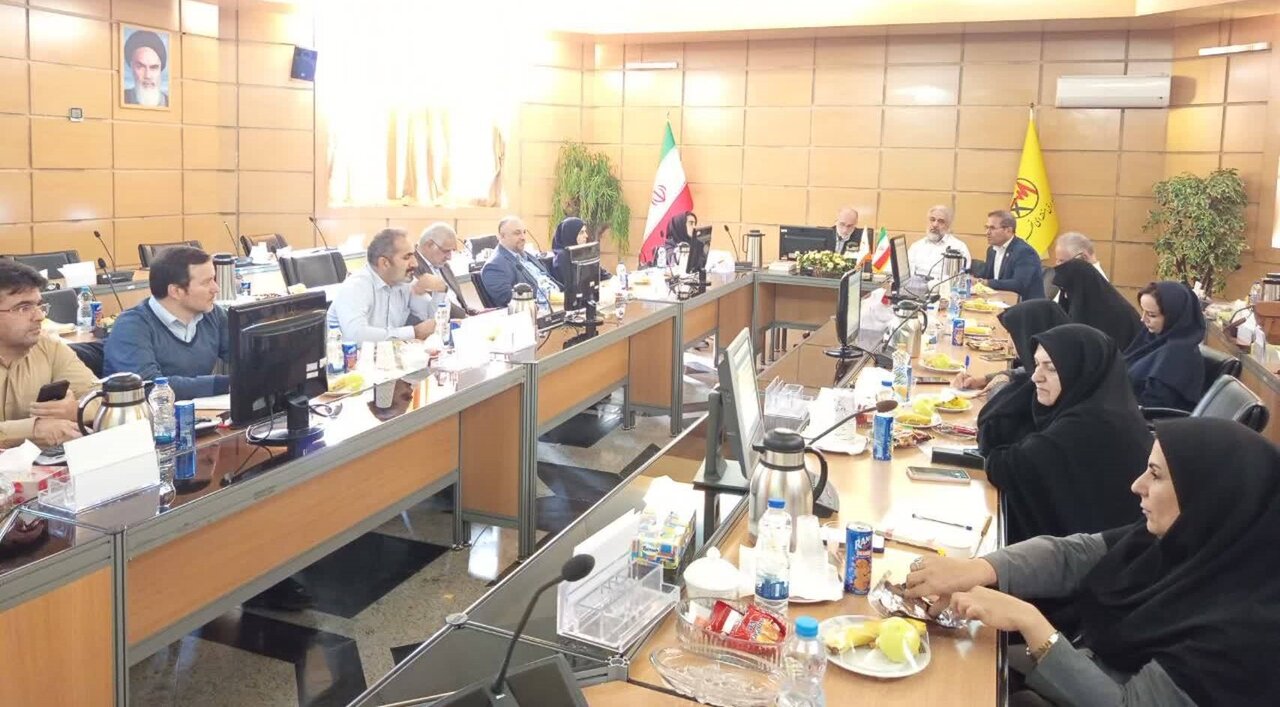 نشست تخصصی بررسی چالشهای منابع انسانی صنعت برق نشست تخصصی بررسی چالشهای منابع انسانی صنعت برق