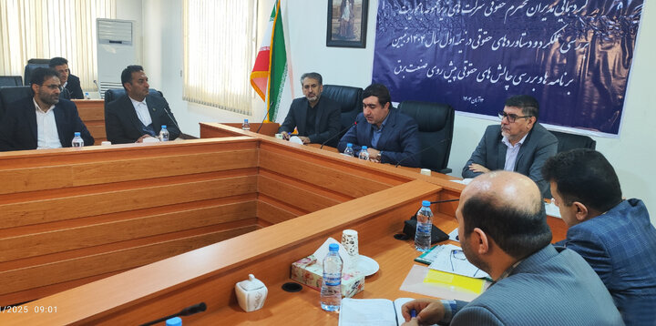 تاکید معاون حقوقی وزیر نیرو بر لزوم تدوین قانون جامع صنعت برق