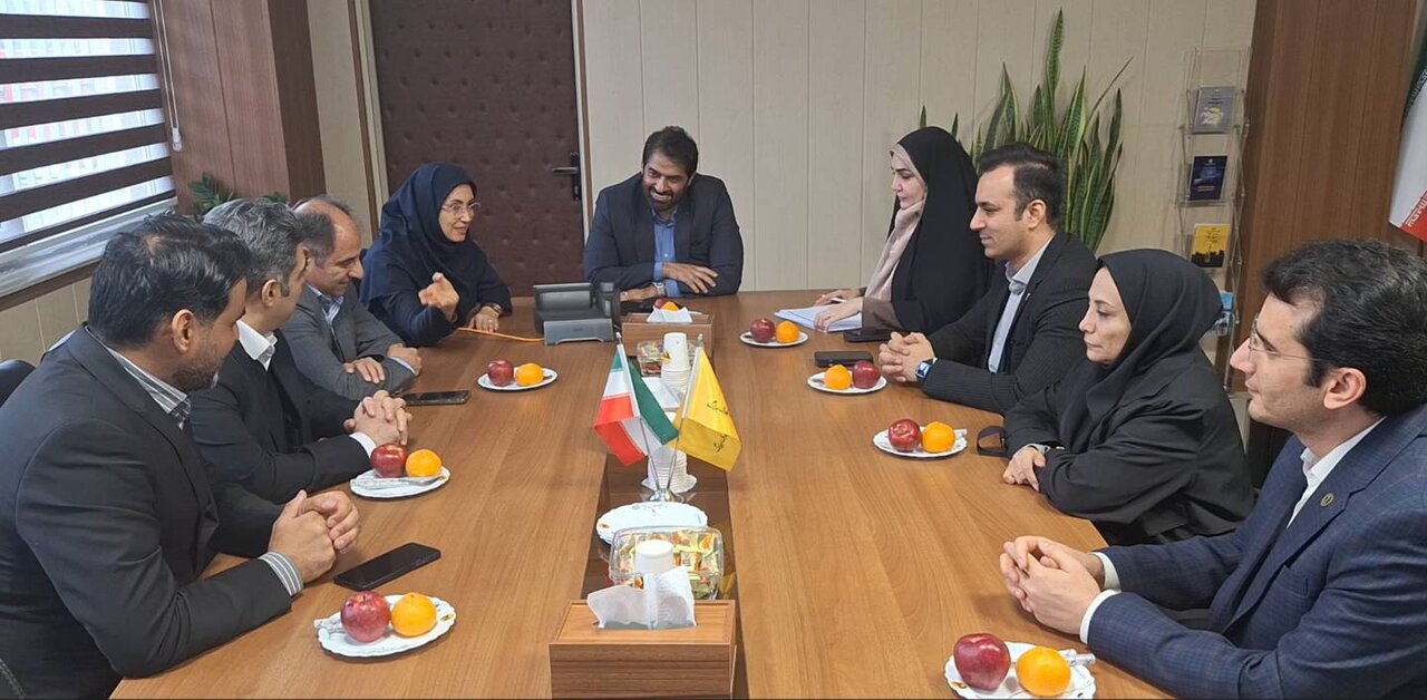 طرح ممیزی روابط عمومی های صنعت برق کشور از توزیع برق پایتخت آغاز شد