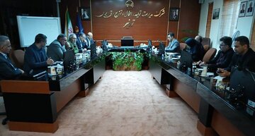 هوشمندسازی اولویت نخست بخش توزیع برق کشور است