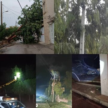 اصلاح و بازسازی تاسیسات برق بوشهر