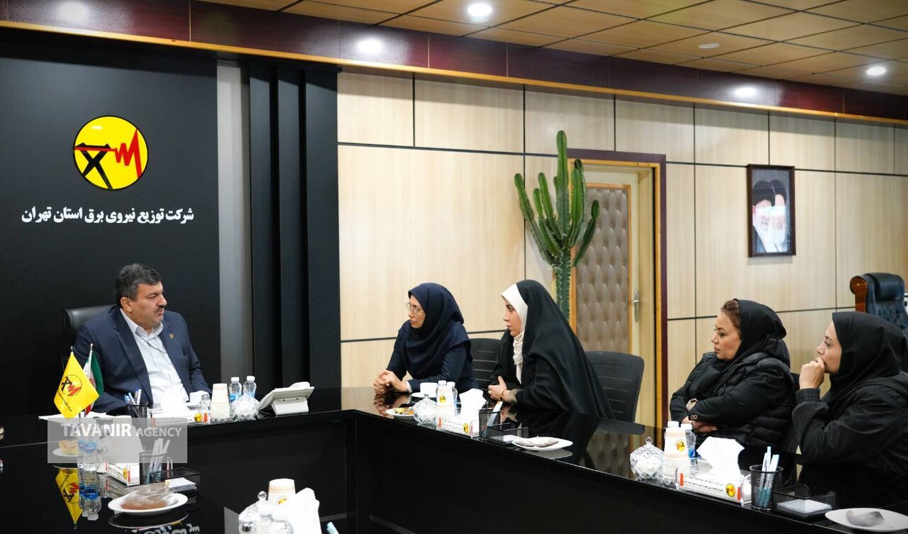 ممیزی عملکرد روابط‌عمومی توزیع برق استان تهران