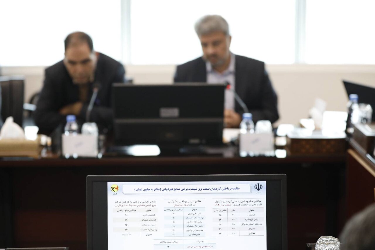 بررسی عملکرد و بودجه پیشنهادی شرکت توانیر در دیوان محاسبات کشور